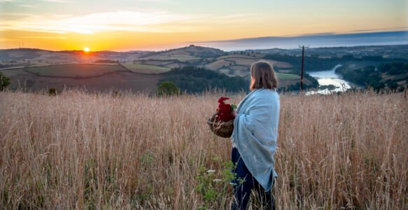 A Year at the Green Hill